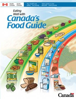 het komt uit de Canadese voedingsgids van 2007. waarin de inname van groenten, eiwitrijk voedsel, granen en melk wordt gerapporteerd.