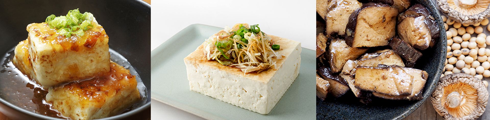 Pressa per stampi di tofu, Pressa per tofu, macchina per pressare e modellare il tofu, macchina per alimenti