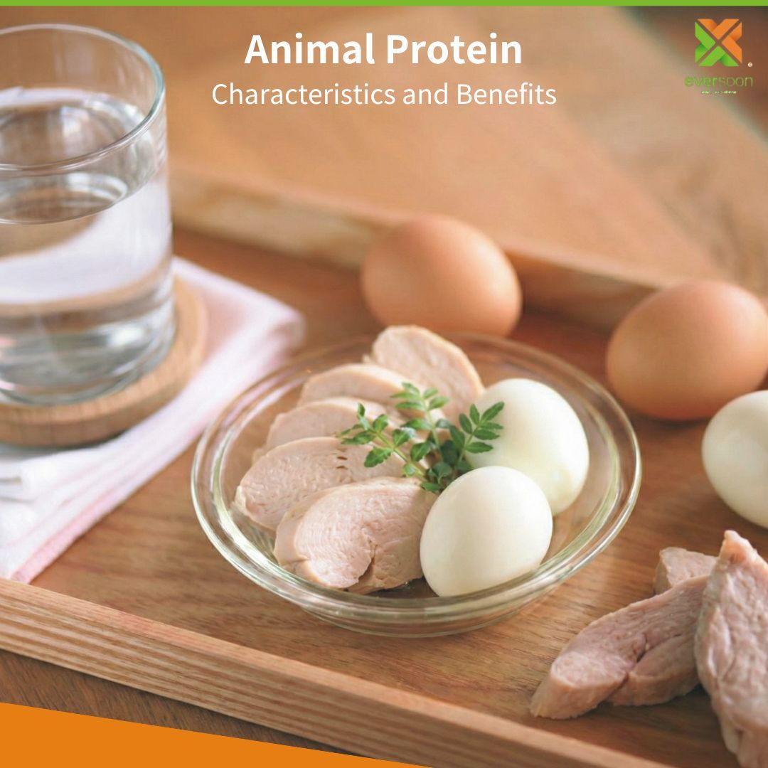 Proteine Animali: Caratteristiche e Benefici applicazione-alimentare-a-base-di-soia-proteina-soia-latte-e-tofu