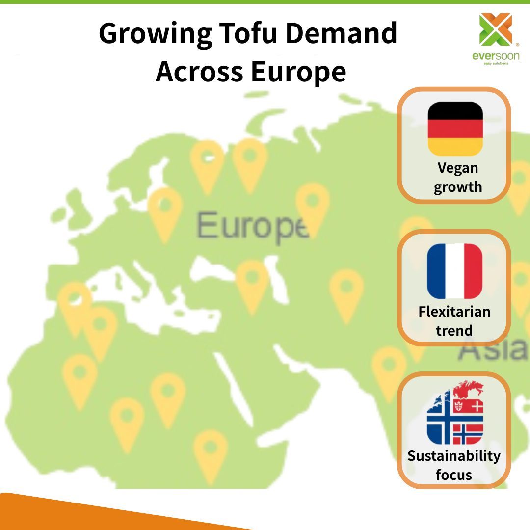 creșterea-cererii-de-tofu-in-europa-tendințe-regionale