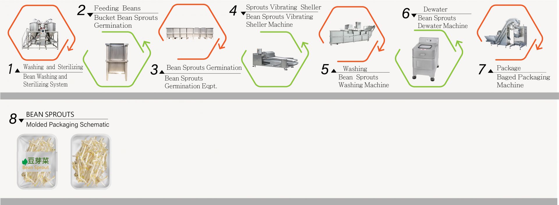 Sprouts Protein Chart