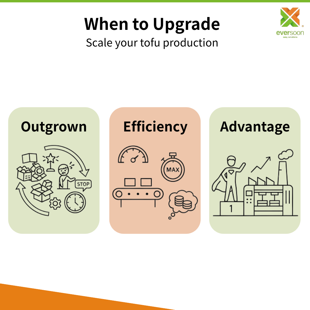 कब टोफू प्रेसिंग मशीन को अपग्रेड करें: दक्षता और पैमाना